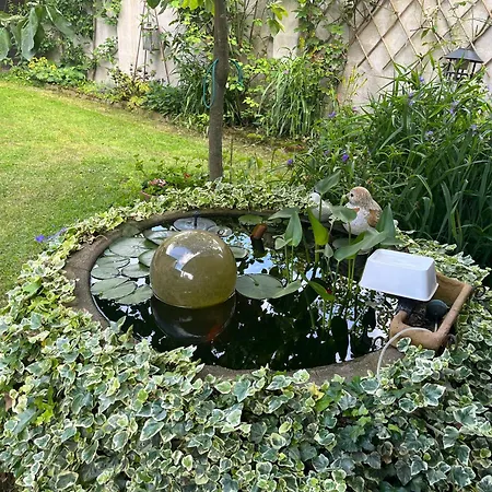 T Dinxken Bed & Breakfast Dinxperlo