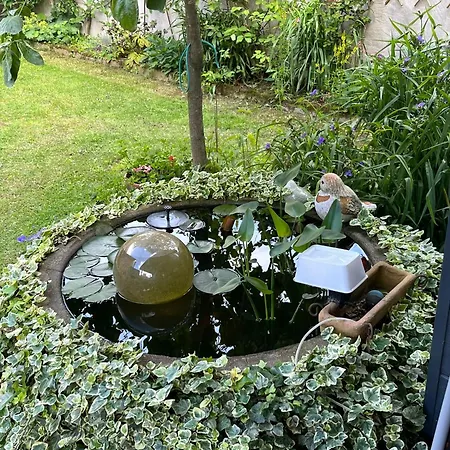 Couette-café T Dinxken Dinxperlo